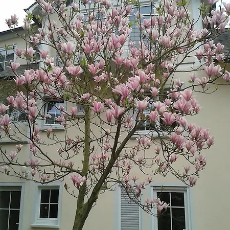 Apartment Schneemann Valwig