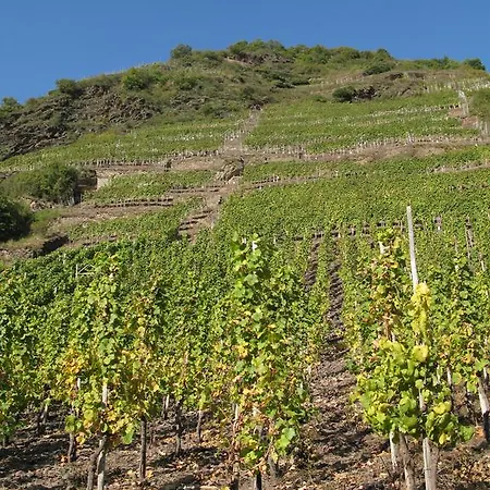 Appartement Schneemann