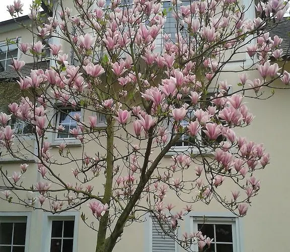 Apartament Schneemann Valwig