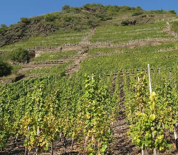 アパート Schneemann