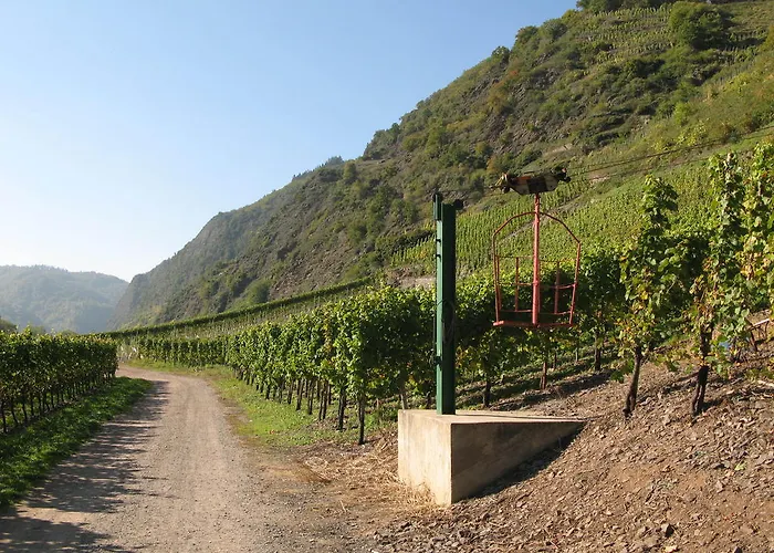 דירה Schneemann *