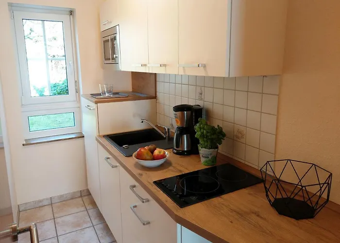 Schneemann דירה ולוויג